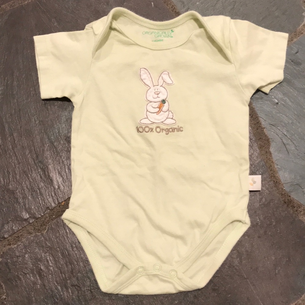 100% Organic Onesie